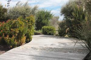حديقة خارج Old Bones Lodge