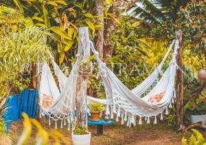 dwie hamaki w ogrodzie z palmami w obiekcie Eco-Pousada Casa Bobô w mieście Ilha de Boipeba
