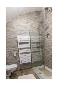 サン・ミッシェル・ド・モリエンヌにあるLe Chaleureuxのバスルーム(トイレ、ガラス張りのシャワー付)