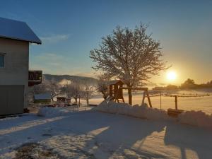 a snow covered yard with a tree and the sunset at Landhaus-Stockinger in Büchlberg