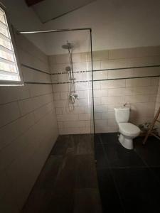 a bathroom with a toilet and a glass shower stall at Le Poppy Palm in Sainte-Luce