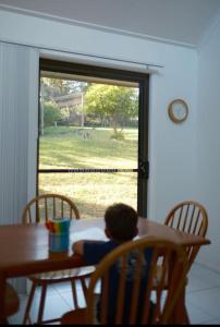 Gallery image of Bawley Point accommodation in Bawley Point +21 photos