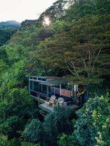 a house in the middle of a forest at ANCESTRAL GLAMPING in Barbosa
