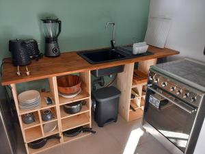 a kitchen with a counter with a sink and a blender at Le Bois Bohème in Sainte-Luce