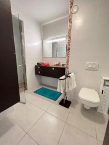 a bathroom with a shower and a toilet and a sink at Appartement de standing vue mer in Schœlcher