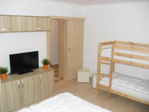 a bedroom with a bunk bed and a flat screen tv at Apartmán Linda in Lipno nad Vltavou