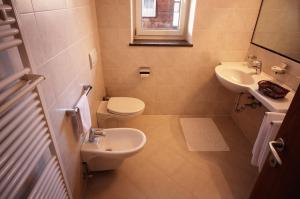 a bathroom with a toilet and a sink at Residence Frea in Selva di Val Gardena +33 photos