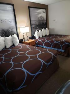 Postel nebo postele na pokoji v ubytování SureStay Plus Hotel by Best Western Grand Island