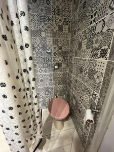 baño con aseo rosa y pared de azulejos en Departamento completo amplio en Recoleta - Dos ambientes en Buenos Aires
