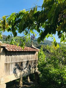 Cette maison ancienne offre une vue sur un vignoble. dans l'établissement Casa 1883, 