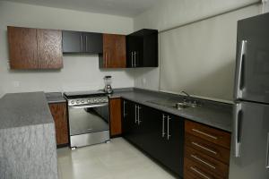 a kitchen with black cabinets and stainless steel appliances at TORRE CARRANZA in Tequila