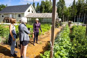 Hosté ubytování Upper Humber Settlement a FarmStay B&B