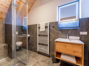 a bathroom with a shower and a sink and a toilet at Mountain Chalet Alpinchique 2 in Sankt Lorenzen ob Murau
