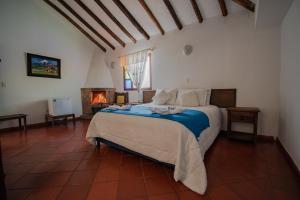 1 dormitorio con 1 cama y chimenea en Hotel Villa Luna, en Villa de Leyva