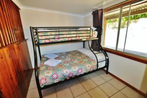 two bunk beds in a room with a window at Cape Hillsborough Nature Tourist Park in Seaforth