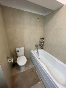 a bathroom with a toilet and a bath tub at Cozy Apartment - near Airport and Palas Mall in Iaşi