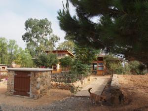 a dog standing in front of a house at Casa Mayoral B&B Pet friendly in Valle de Guadalupe