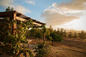 a building in the middle of a field with trees at Casa Mayoral B&B Pet friendly in Valle de Guadalupe