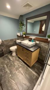 a bathroom with a sink and a toilet and a mirror at Beautiful Suite In Cranbrook! in Cranbrook