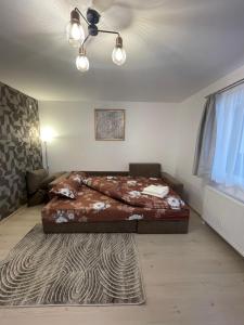 een slaapkamer met een bed in een kamer met een raam bij Jokai Apartments Nr8, code entry in Sfântu-Gheorghe