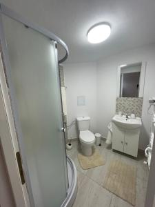 een badkamer met een toilet en een wastafel bij Jokai Apartments Nr8, code entry in Sfântu-Gheorghe