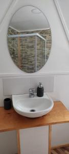 a bathroom with a sink and a mirror at Domotel Aysen in Puerto Aisén