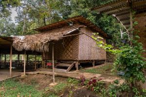 una piccola capanna con tetto di paglia di Rain Forest Inn a Ringlet