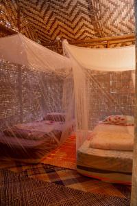 two beds in a room with mosquito netting at Rain Forest Inn in Ringlet