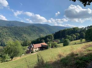 una casa en medio de un campo verde en Ferme La Tourelle, nature & vue exceptionnelle, en Sainte-Marie-aux-Mines