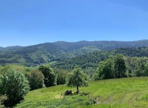Paisaje cerca de este apartamento