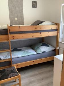 Ce lit superposé se trouve dans un dortoir avec une échelle. dans l'établissement Ferienhaus am Klosterwald, à Dargun