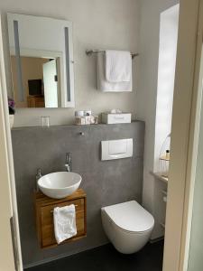 a bathroom with a sink and a toilet and a mirror at Haus Herzog in Bad Steben