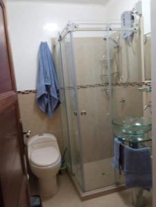 uma casa de banho com um WC e uma cabina de duche em vidro. em Paiva em Lima