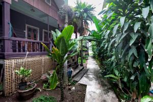 a house with a bunch of banana trees in a yard at Lao Long Riverside and Budget Garden Guesthouse in Ban Khon