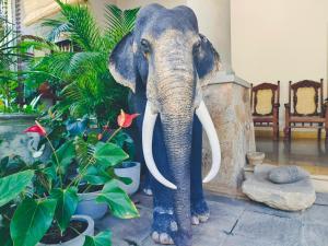 Fotografie z fotogalerie ubytování Lake Reach Hotel v destinaci Kandy