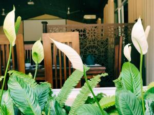 Fotografie z fotogalerie ubytování Lake Reach Hotel v destinaci Kandy