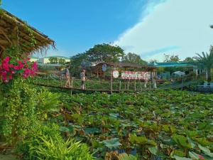 Ein Garten an der Unterkunft Ban Ing Suan