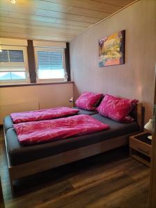 Bett in einem Zimmer mit roten Kissen darauf in der Unterkunft Ferienwohnung Naturblick in Schönhagen