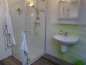 ein Bad mit einem Waschbecken und einer Dusche in der Unterkunft Ferienwohnung Natalie - Hildegard Mayer in Handewitt
