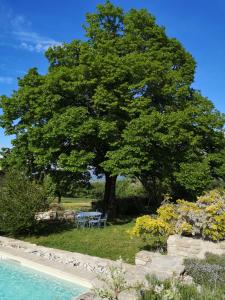 un árbol y una mesa bajo un árbol junto a una piscina en Chez Nathalie et Raphaël, en Grane