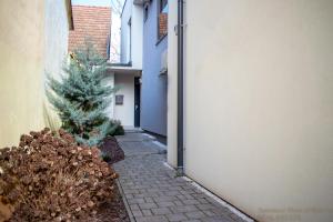 an alley with a christmas tree next to a building at Apartment Heart of Bjelovar in Bjelovar