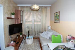 Posezení v ubytování Apartment Heart of Bjelovar