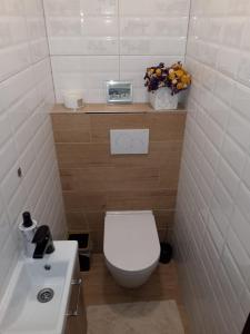 a small bathroom with a toilet and a sink at Apartmán Sejkorka Vrchlabí in Vrchlabí