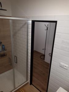 a shower with a glass door in a bathroom at Apartmán Sejkorka Vrchlabí in Vrchlabí