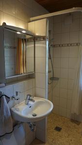 ein Bad mit einem Waschbecken und einer Dusche in der Unterkunft Ferienhaus Becker in Bispingen