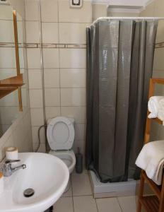 e bagno con servizi igienici, doccia e lavandino. di Stelina’s Cosy Loft - Ideal Spot a Salonicco