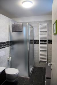 uma casa de banho com uma cabina de duche e um WC. em Presanella Mountain Lodge em Temù