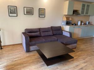 a living room with a brown couch and a table at Kalnas II apartaments in Juodkrantė