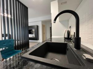 uma cozinha com um lavatório e uma bancada em Perfect Host Palas em Iaşi