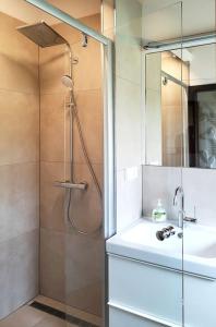 a shower with a glass door next to a sink and a mirror at Ferienhaus LENA im Sauerland direkt am Hennesee in Meschede